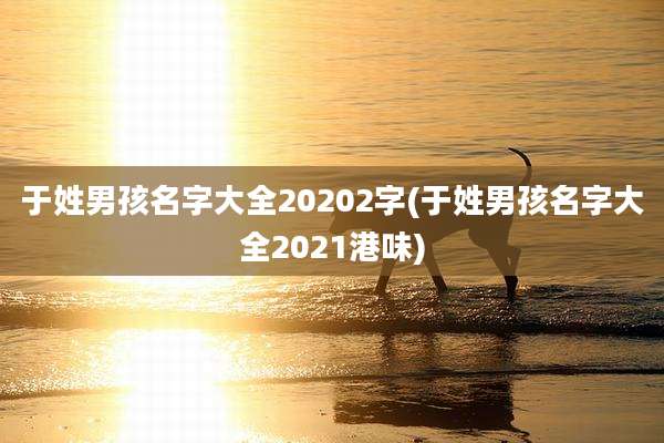 于姓男孩名字大全20202字(于姓男孩名字大全2021港味)
