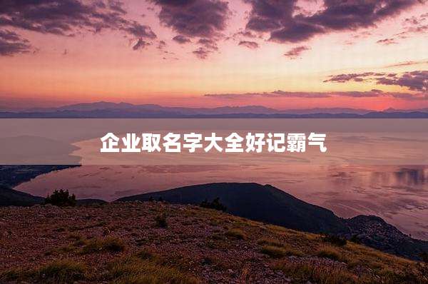 企业取名字大全好记霸气