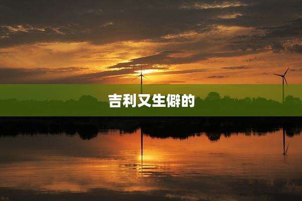 吉利又生僻的