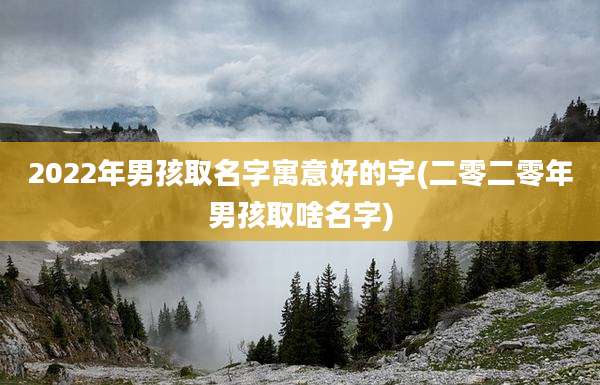 2022年男孩取名字寓意好的字(二零二零年男孩取啥名字)