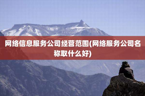 网络信息服务公司经营范围(网络服务公司名称取什么好)