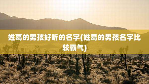 姓葛的男孩好听的名字(姓葛的男孩名字比较霸气)