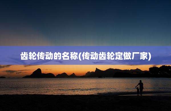 齿轮传动的名称(传动齿轮定做厂家)