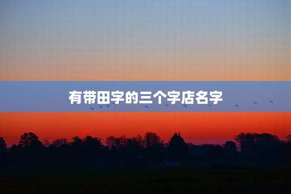 有带田字的三个字店名字