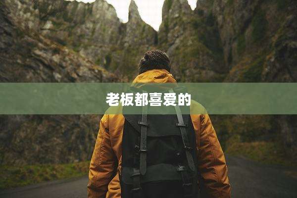 老板都喜爱的
