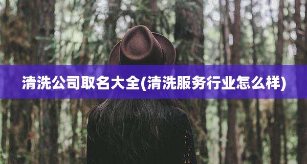 清洗公司取名大全(清洗服务行业怎么样)