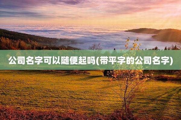 公司名字可以随便起吗(带平字的公司名字)