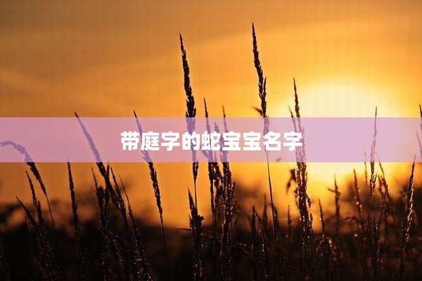 带庭字的蛇宝宝名字