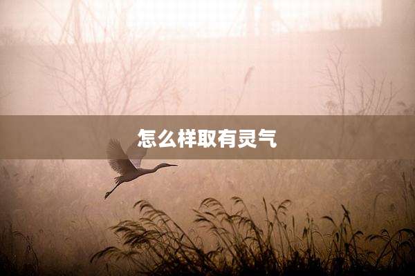 怎么样取有灵气