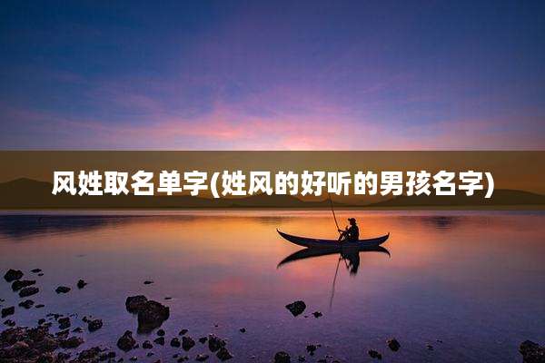 风姓取名单字(姓风的好听的男孩名字)