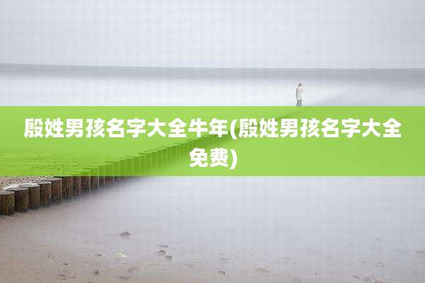 殷姓男孩名字大全牛年(殷姓男孩名字大全免费)