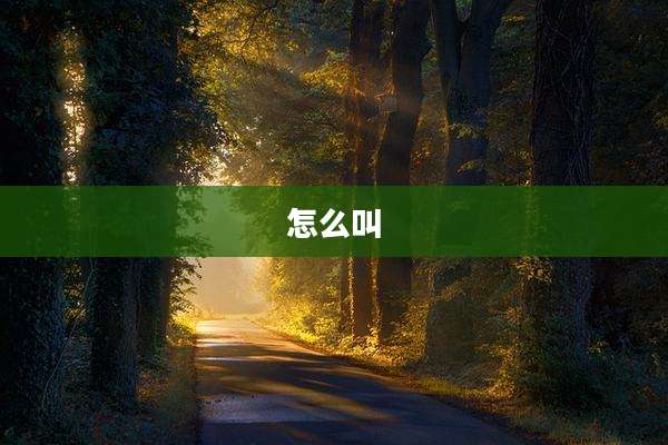怎么叫