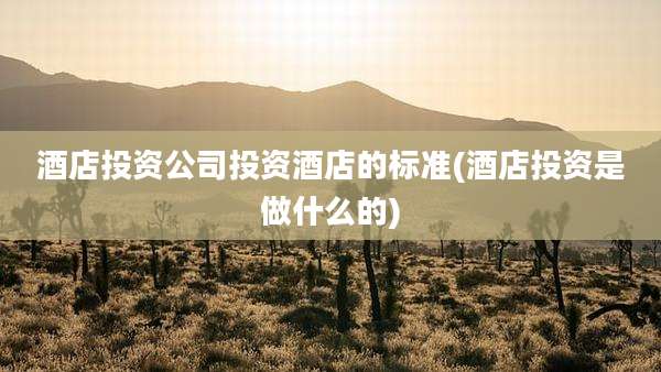 酒店投资公司投资酒店的标准(酒店投资是做什么的)
