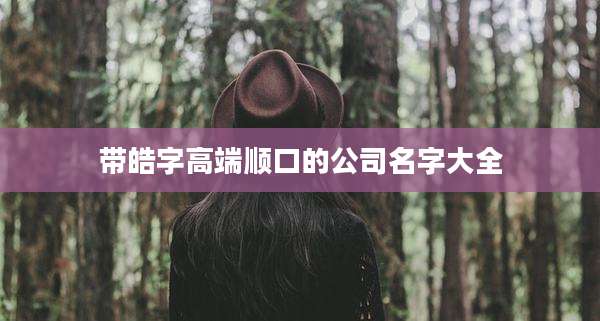 带皓字高端顺口的公司名字大全