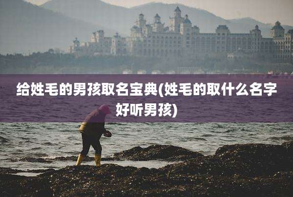 给姓毛的男孩取名宝典(姓毛的取什么名字好听男孩)