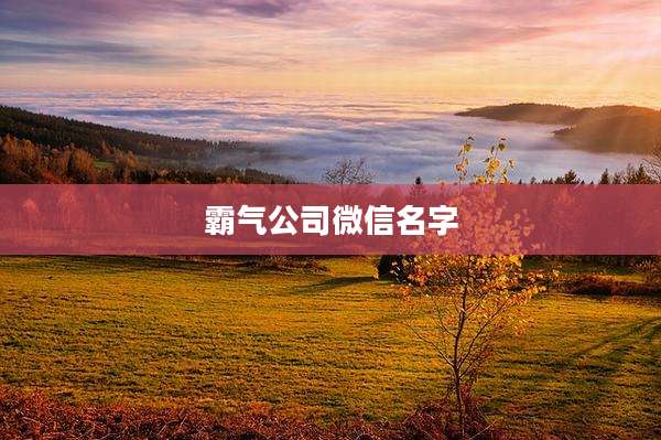 霸气公司微信名字