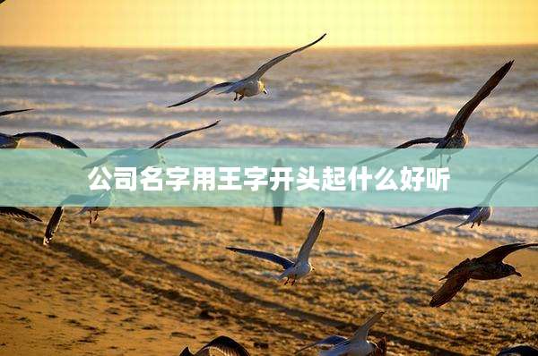 公司名字用王字开头起什么好听