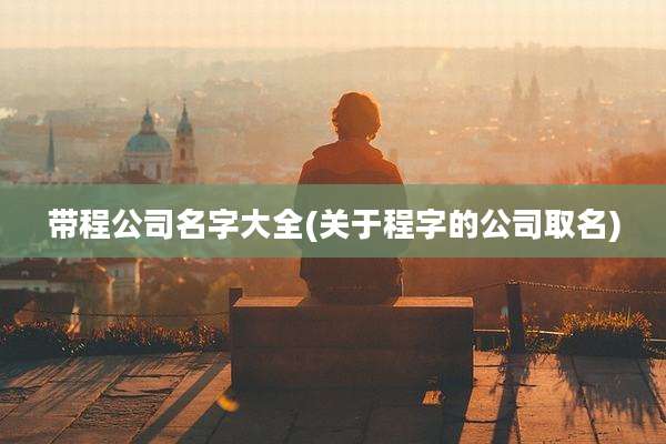 带程公司名字大全(关于程字的公司取名)