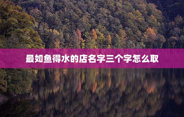 最如鱼得水的店名字三个字怎么取