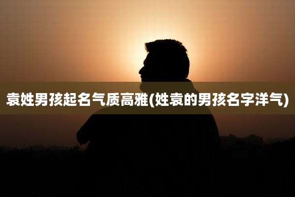 袁姓男孩起名气质高雅(姓袁的男孩名字洋气)