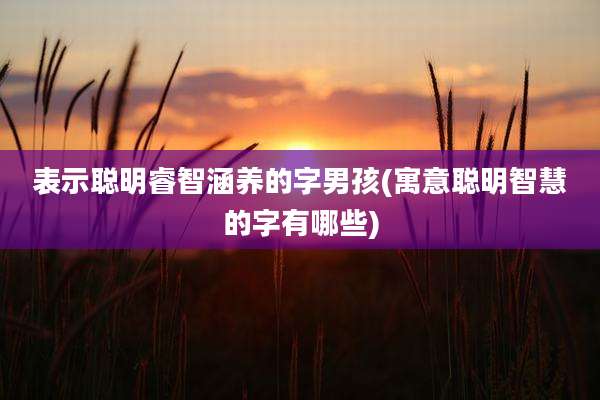 表示聪明睿智涵养的字男孩(寓意聪明智慧的字有哪些)