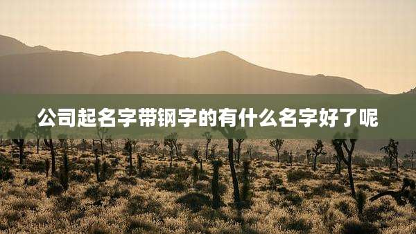 公司起名字带钢字的有什么名字好了呢