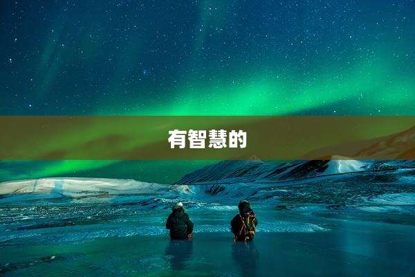 有智慧的
