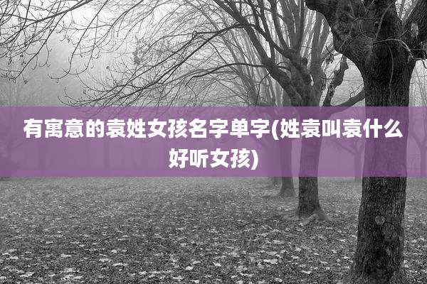 有寓意的袁姓女孩名字单字(姓袁叫袁什么好听女孩)