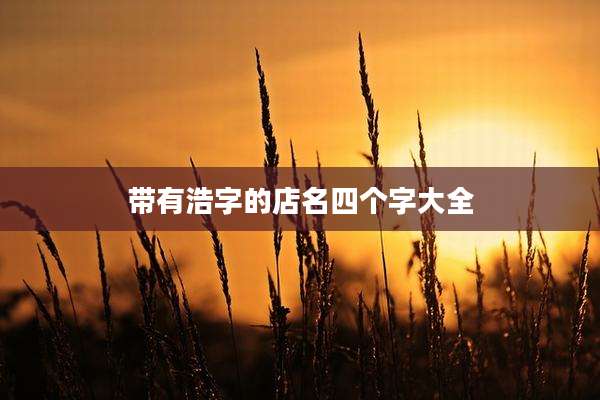 带有浩字的店名四个字大全