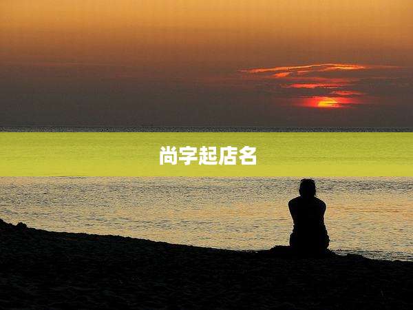 尚字起店名