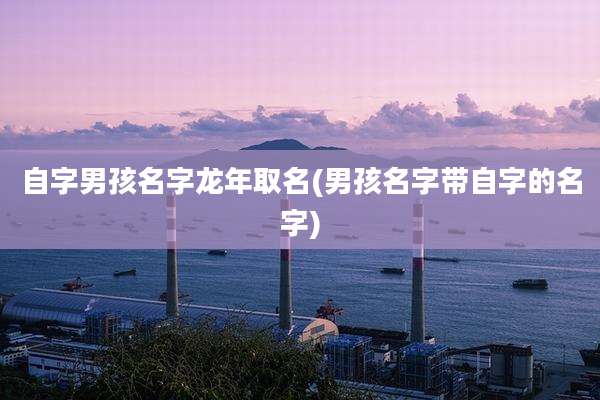 自字男孩名字龙年取名(男孩名字带自字的名字)