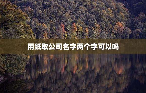 用纸取公司名字两个字可以吗