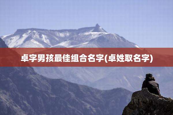 卓字男孩最佳组合名字(卓姓取名字)