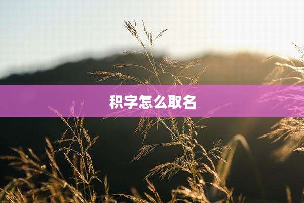 积字怎么取名