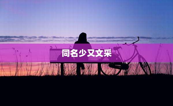 同名少又文采