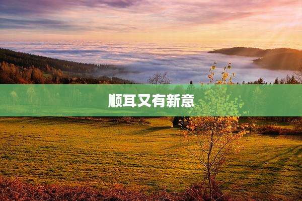 顺耳又有新意