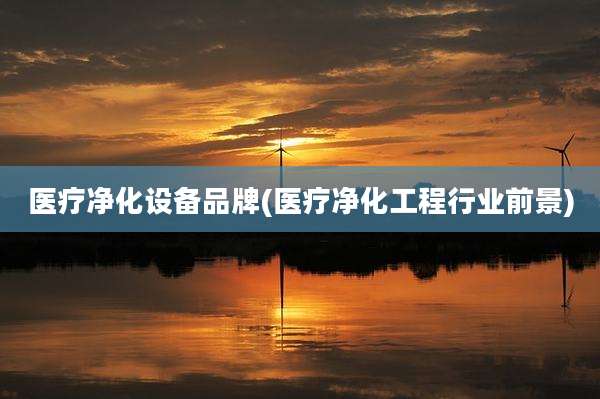 医疗净化设备品牌(医疗净化工程行业前景)