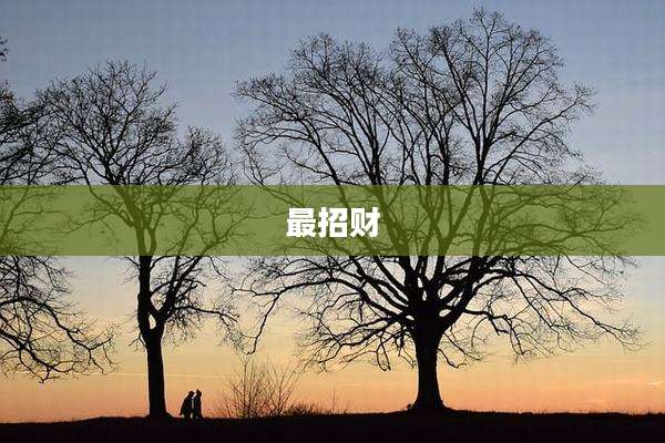 最招财