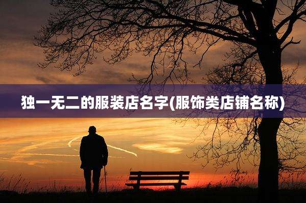 独一无二的服装店名字(服饰类店铺名称)