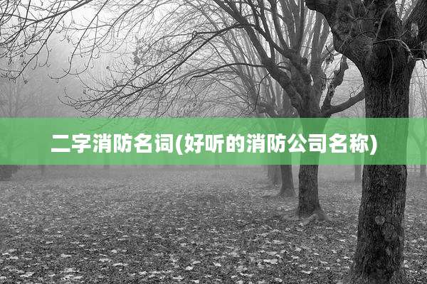 二字消防名词(好听的消防公司名称)