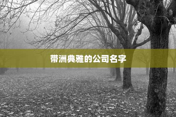 带洲典雅的公司名字