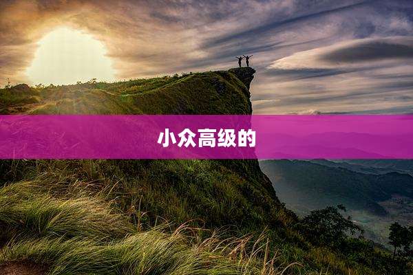 小众高级的