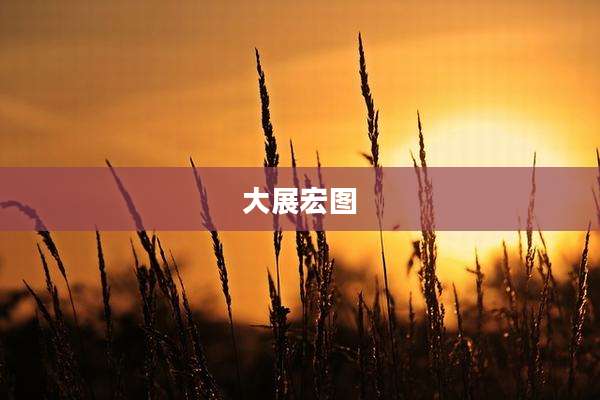 大展宏图
