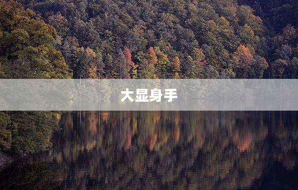 大显身手