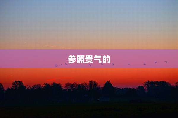 参照贵气的