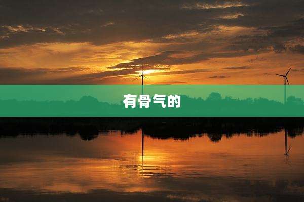 有骨气的