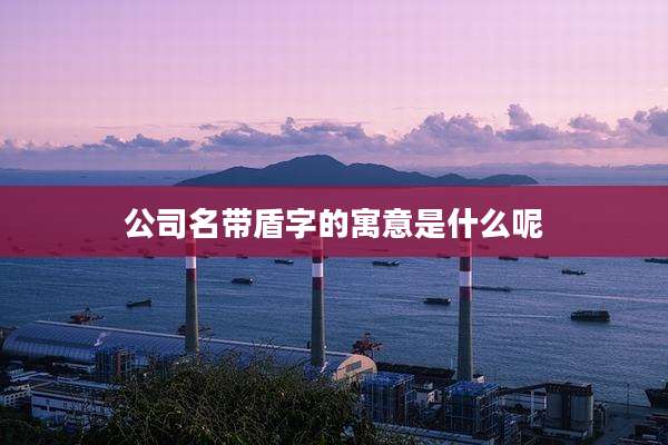 公司名带盾字的寓意是什么呢