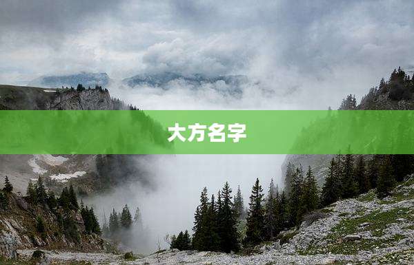 大方名字