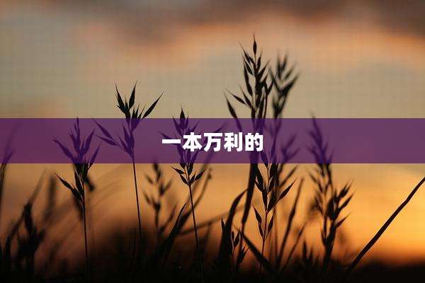 一本万利的