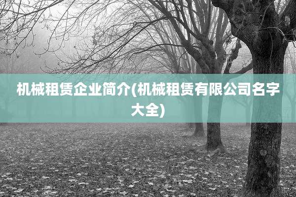机械租赁企业简介(机械租赁有限公司名字大全)
